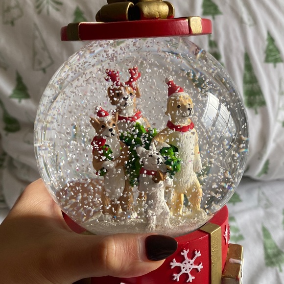 Dog Christmas Snow globe | Homegoods - Picture 3 of 5